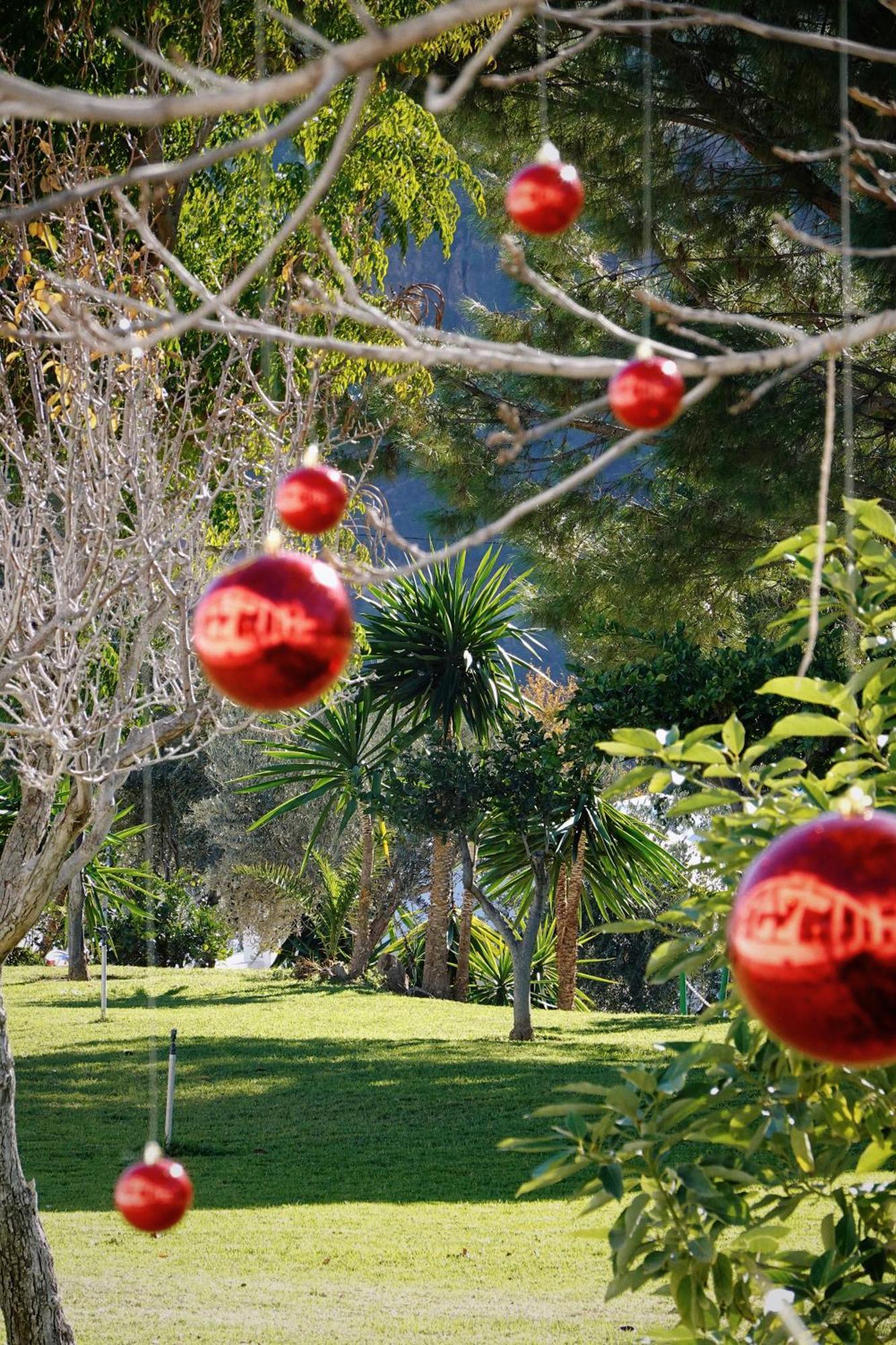 Hotel Taray Botanico Orgiva Eksteriør bilde