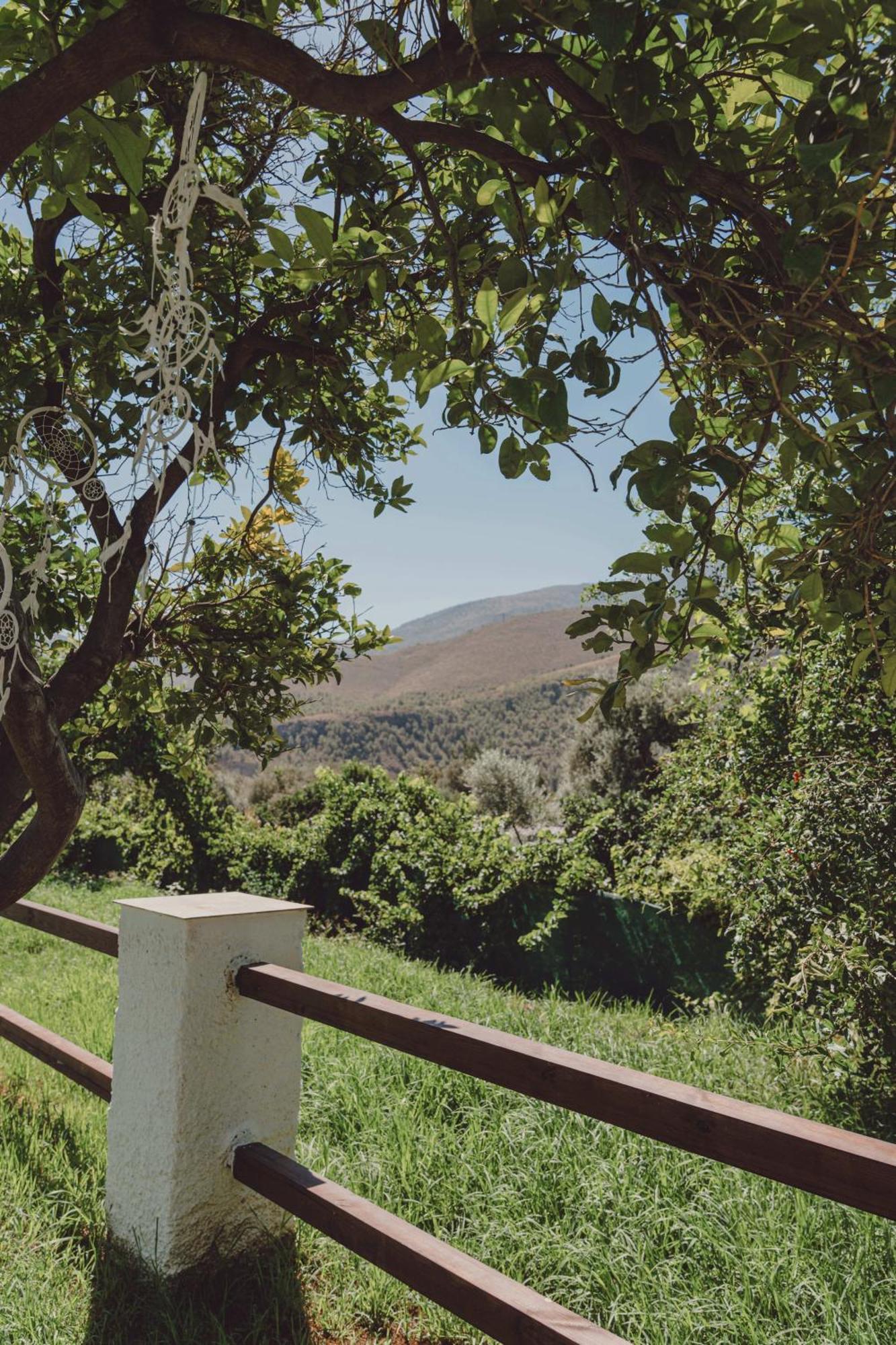 Hotel Taray Botanico Orgiva Eksteriør bilde